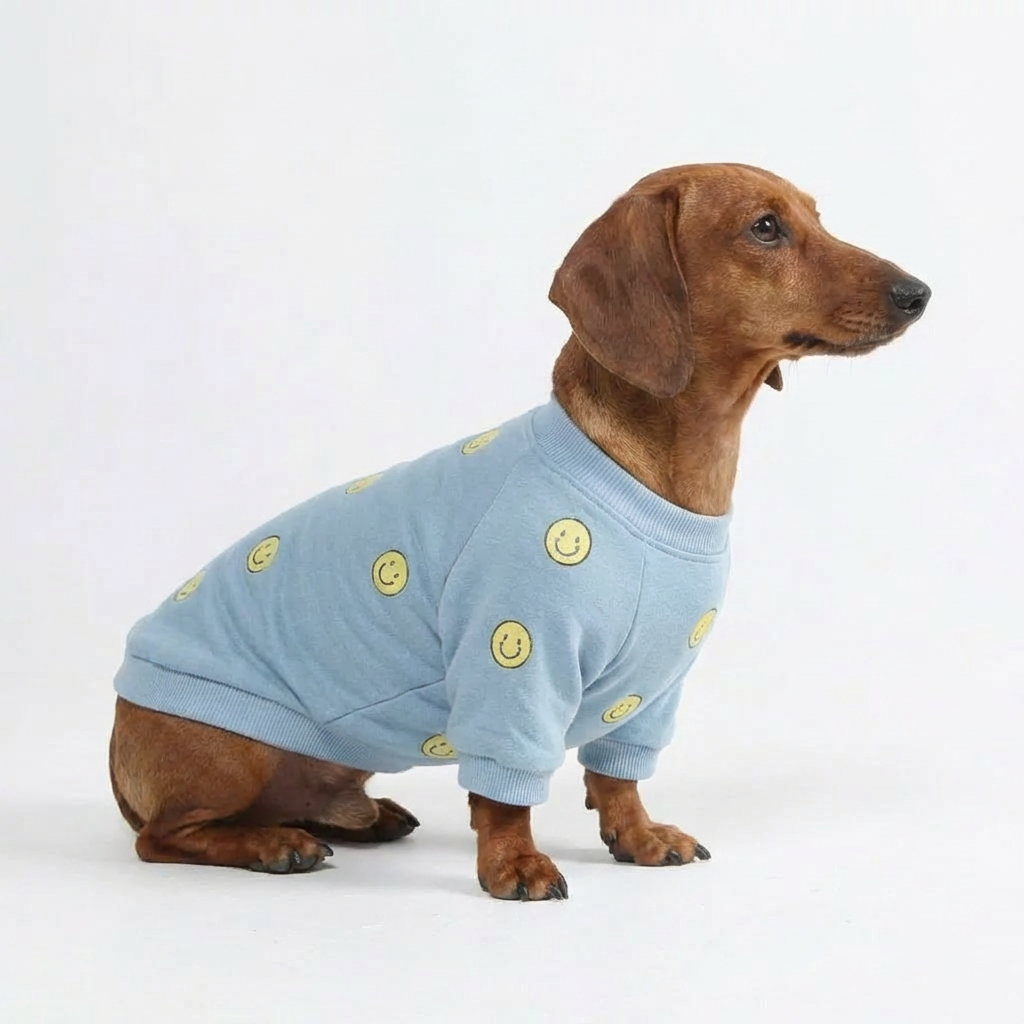 Smiley Daily Dog Sweater