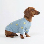 Smiley Daily Dog Sweater