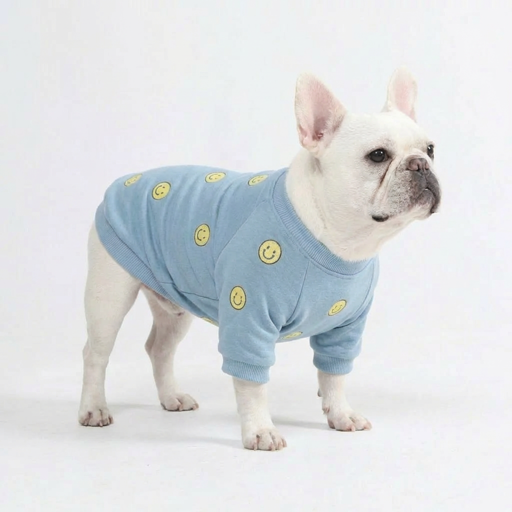 Smiley Daily Human Sweater