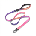 Softwave™ Leash - Sunset Gradient