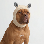 Bear Ear Dog Beanie – Cream