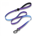 Softwave™ Leash - Aurora Gradient