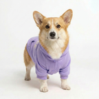NY Street Pup Hoodie - Lavender
