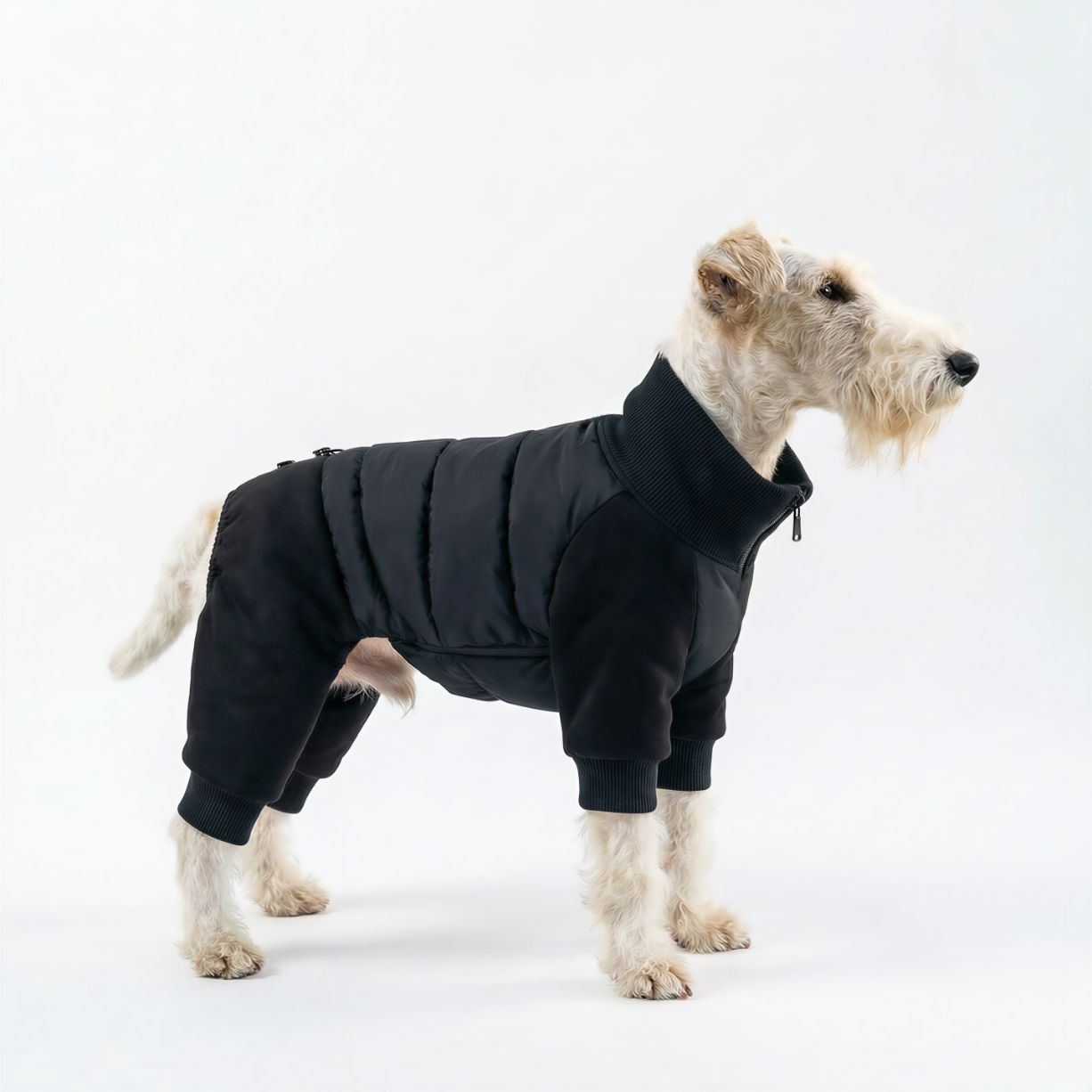 Essential Winter Dog Jacket – Black
