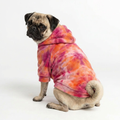 HoloSoft Dog Hoodie - Rose Ember