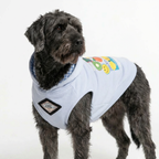 Street Smile Dog Hoodie