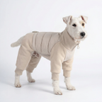 Essential Winter Dog Jacket – Beige