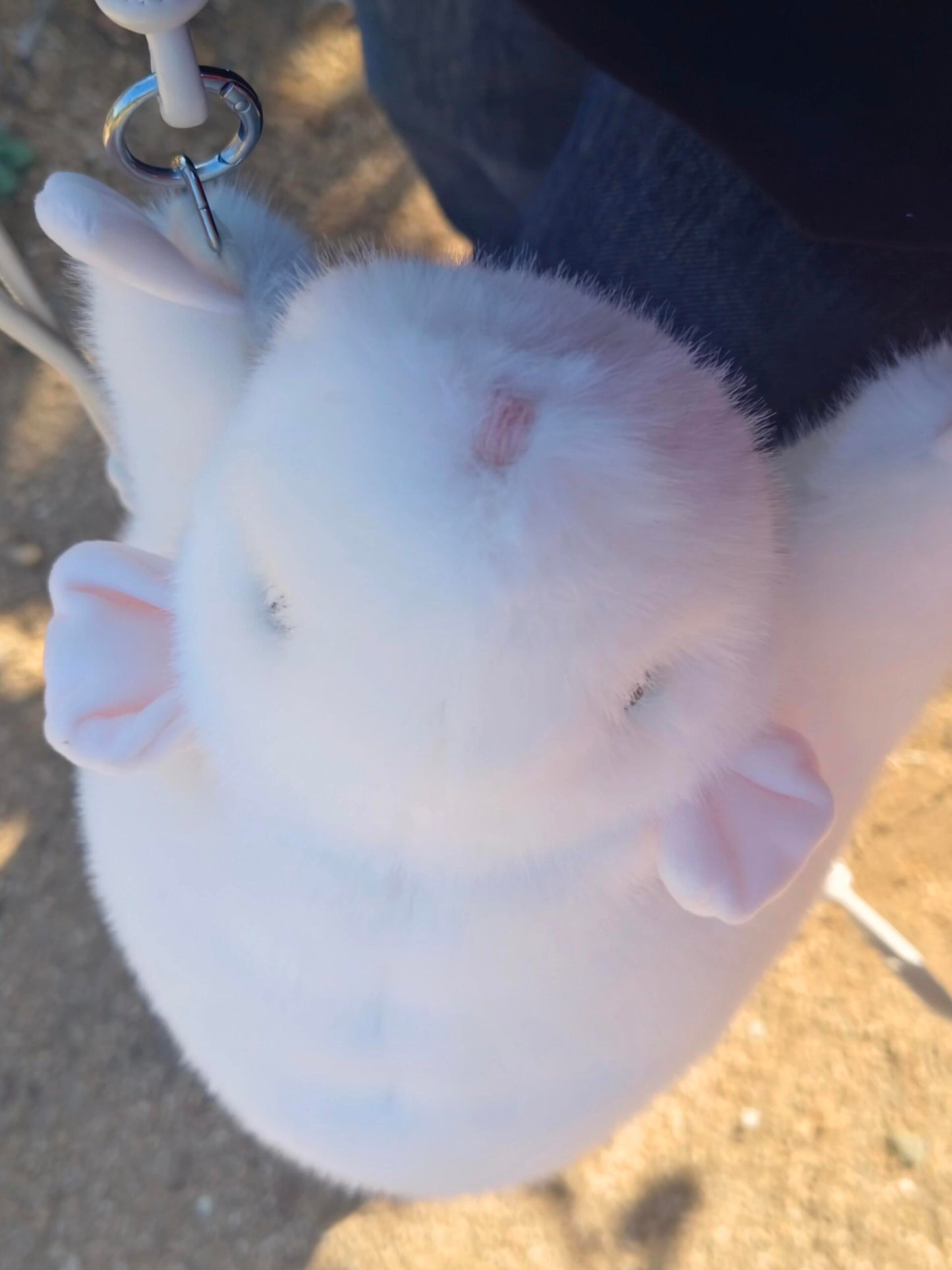 Soft Fufu Simulated Fancy Rat - A Handcrafted Item