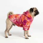 HoloSoft Dog Hoodie - Rose Ember