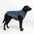 WinterCore Dog Vest - Navy