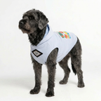 Street Smile Dog Hoodie