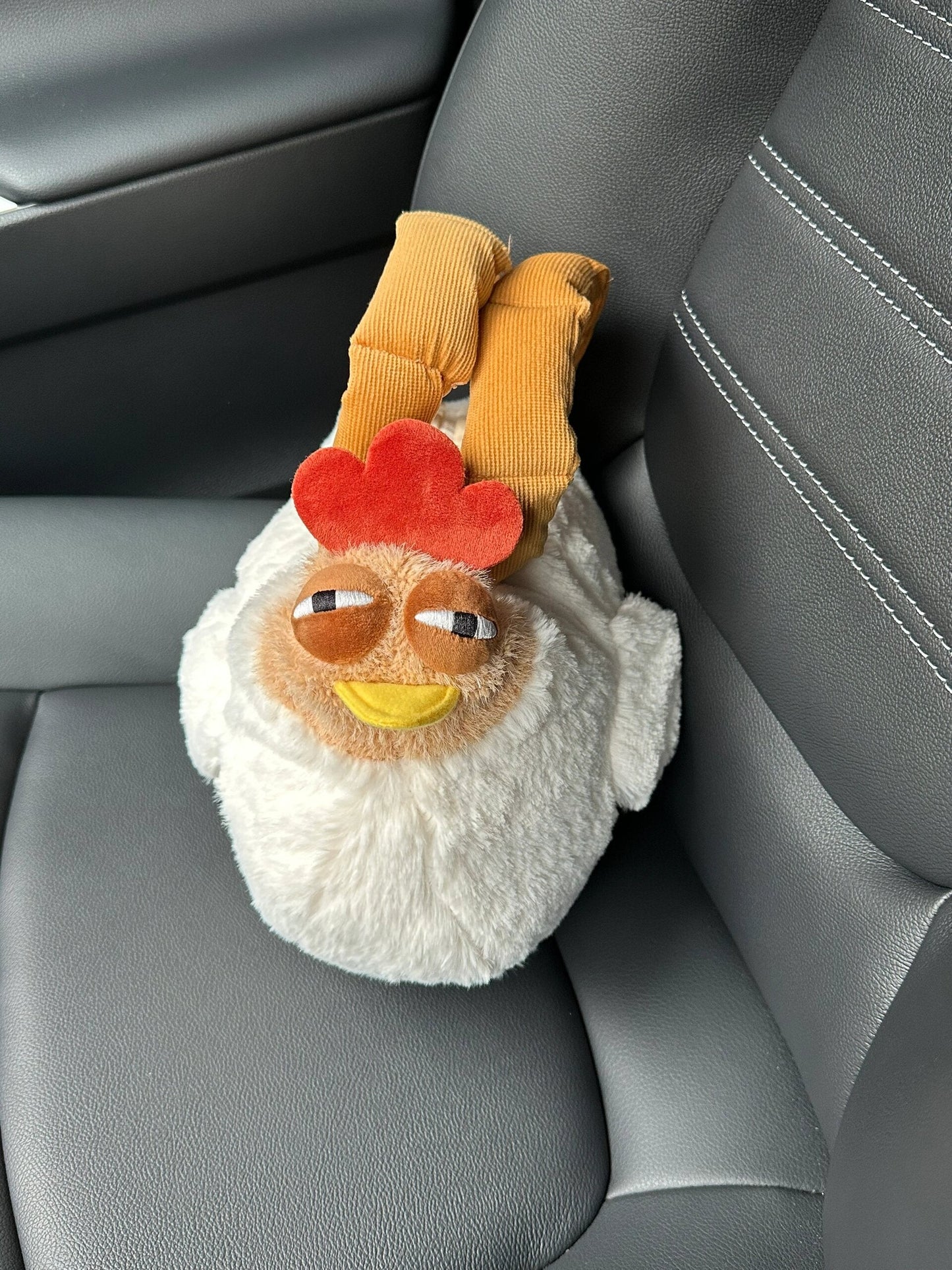 Chicken bag