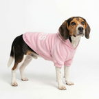 Boss Dog Hoodie – Pink