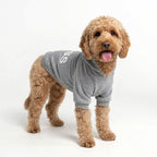 Boss Dog Hoodie – Grey