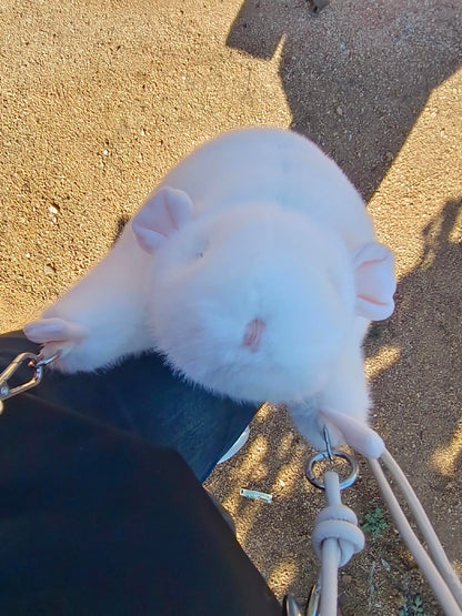 Soft Fufu Simulated Fancy Rat - A Handcrafted Item