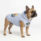 Street Smile Dog Hoodie