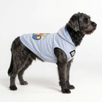 Street Smile Dog Hoodie