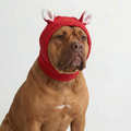 Bear Ear Dog Beanie – Red
