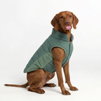 WinterCore Dog Vest – Eucalyptus