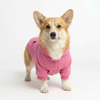 NY Street Pup Hoodie - Pink