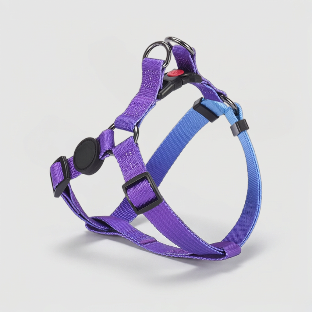 Softwave™ Harness - Aurora Gradient