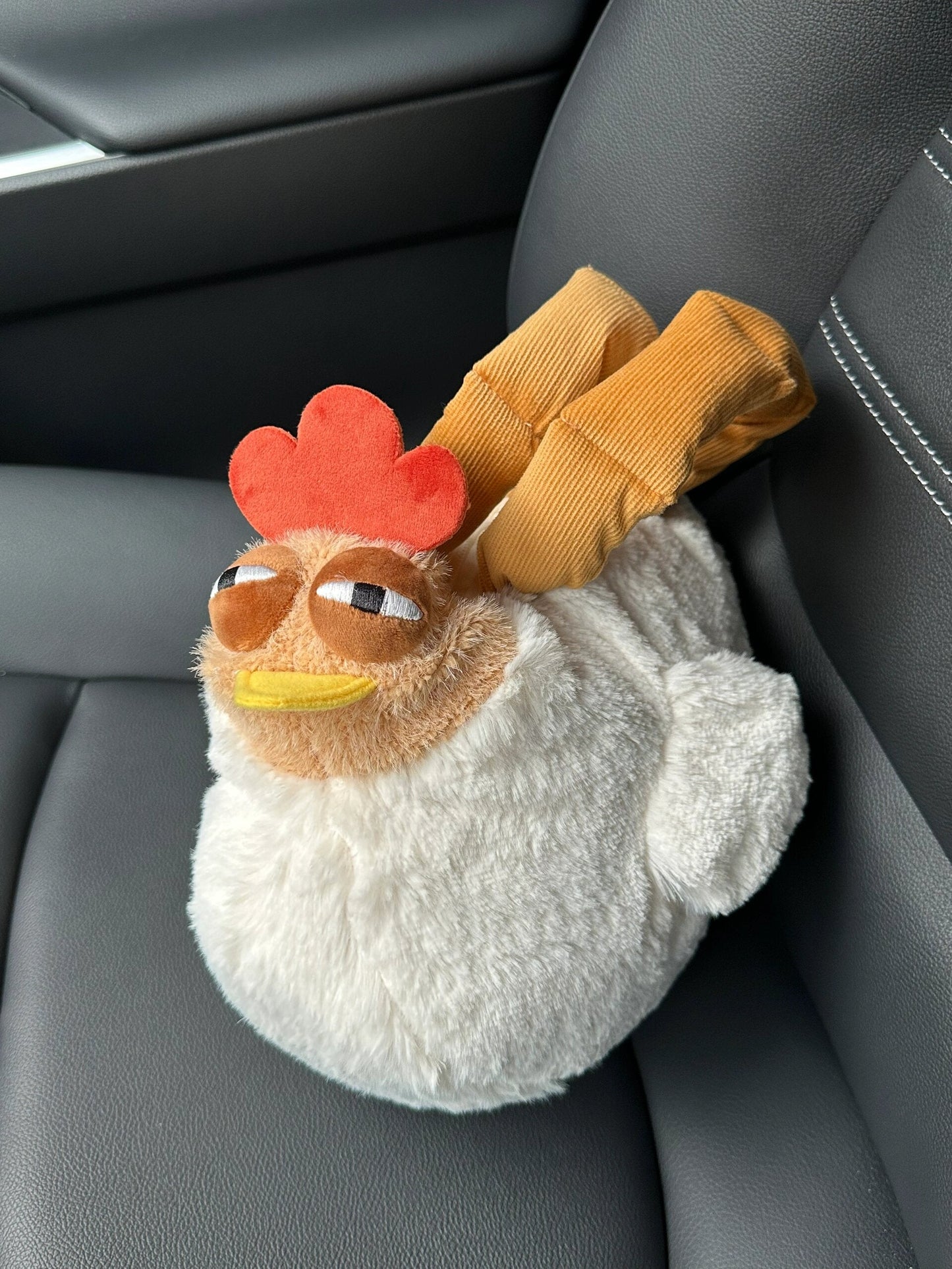 Chicken bag