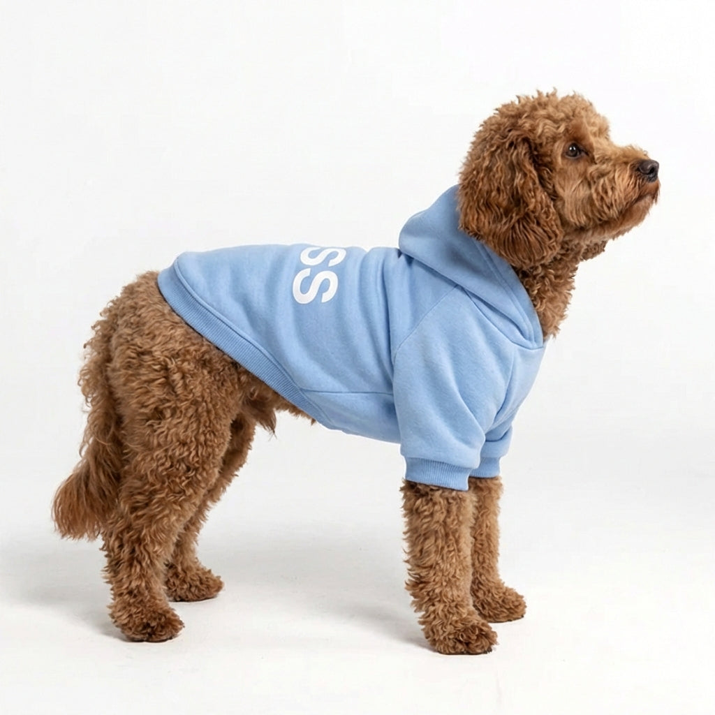 Boss Dog Hoodie – Sky Blue