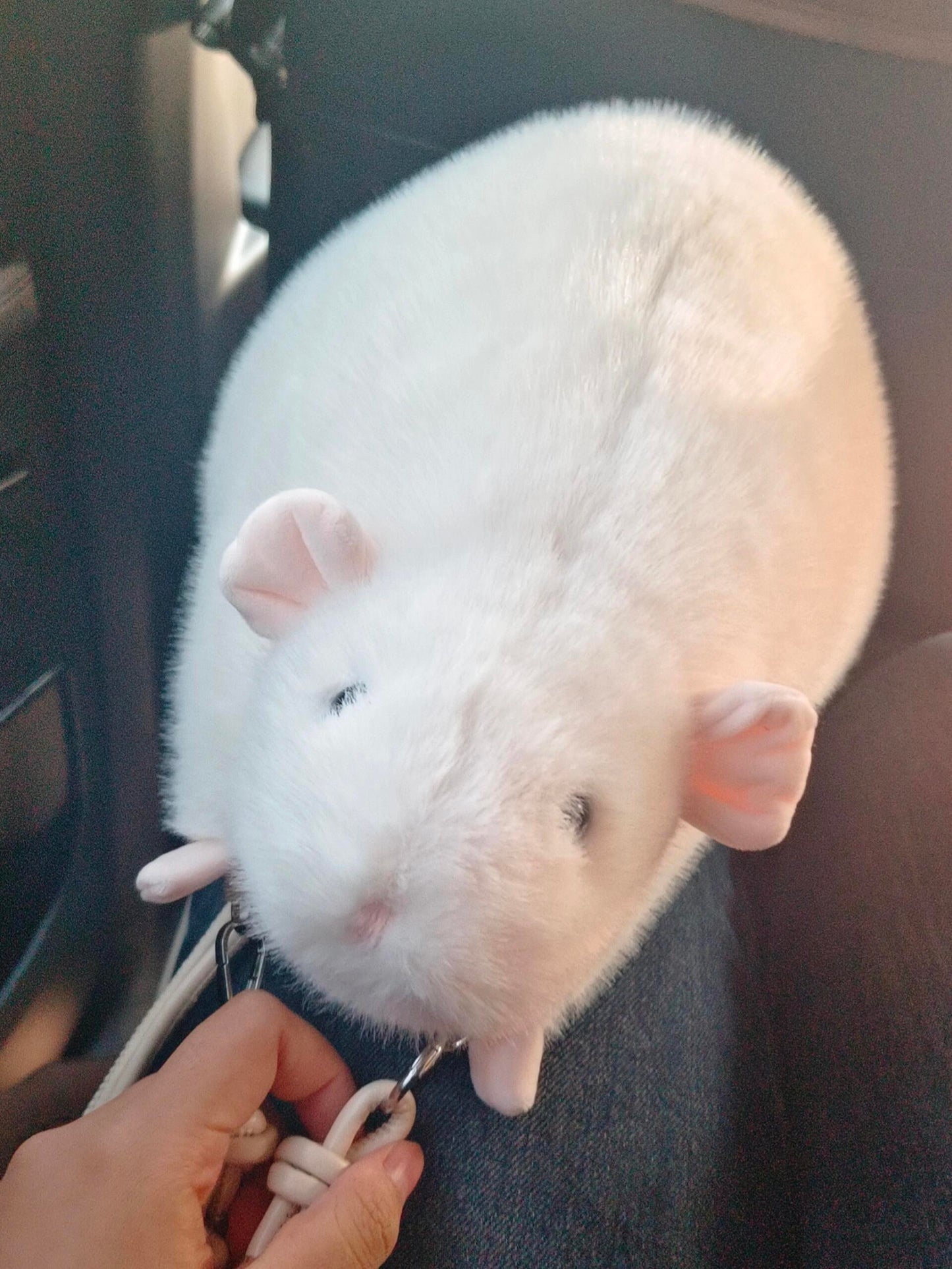 Soft Fufu Simulated Fancy Rat - A Handcrafted Item