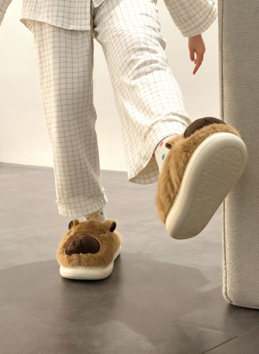 Capybara shoes
