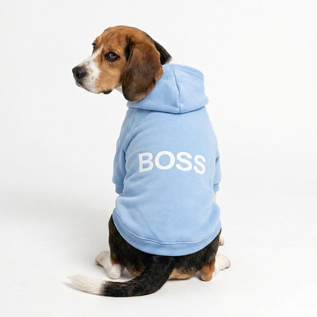 Boss Dog Hoodie – Sky Blue