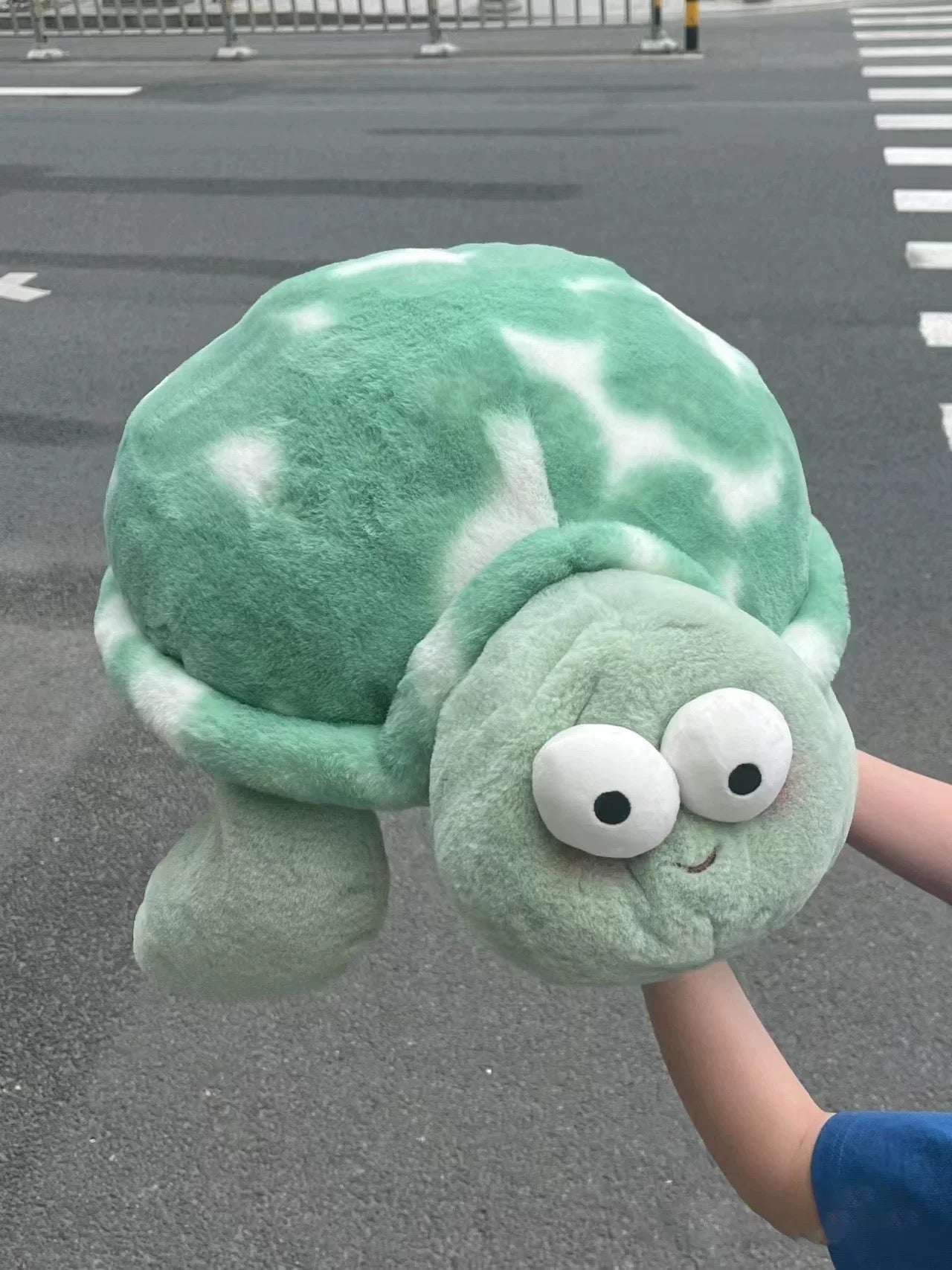 Turtle
