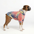 HoloSoft Dog Hoodie - Aurora Mist