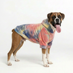 HoloSoft Dog Hoodie - Aurora Mist