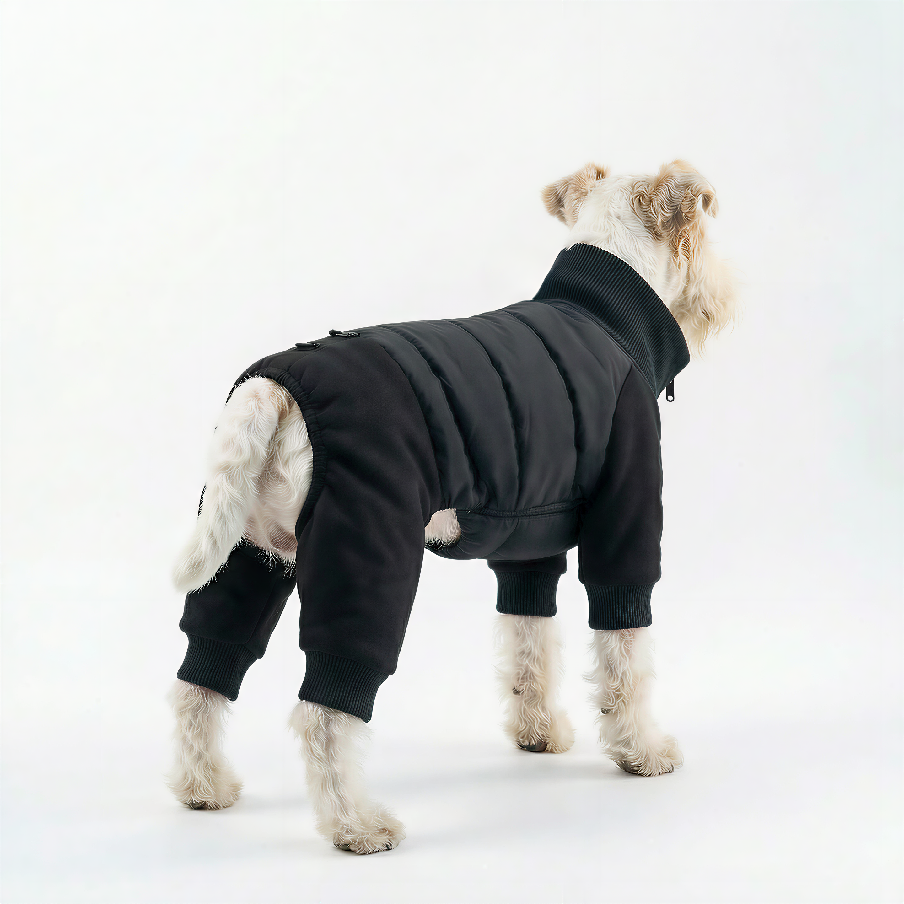 Essential Winter Dog Jacket – Black