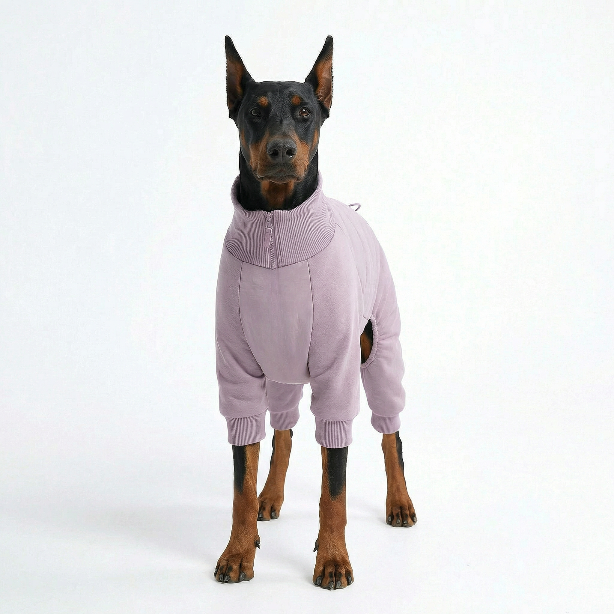 Essential Winter Dog Jacket – Lilac