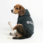 Boss Dog Hoodie - Black