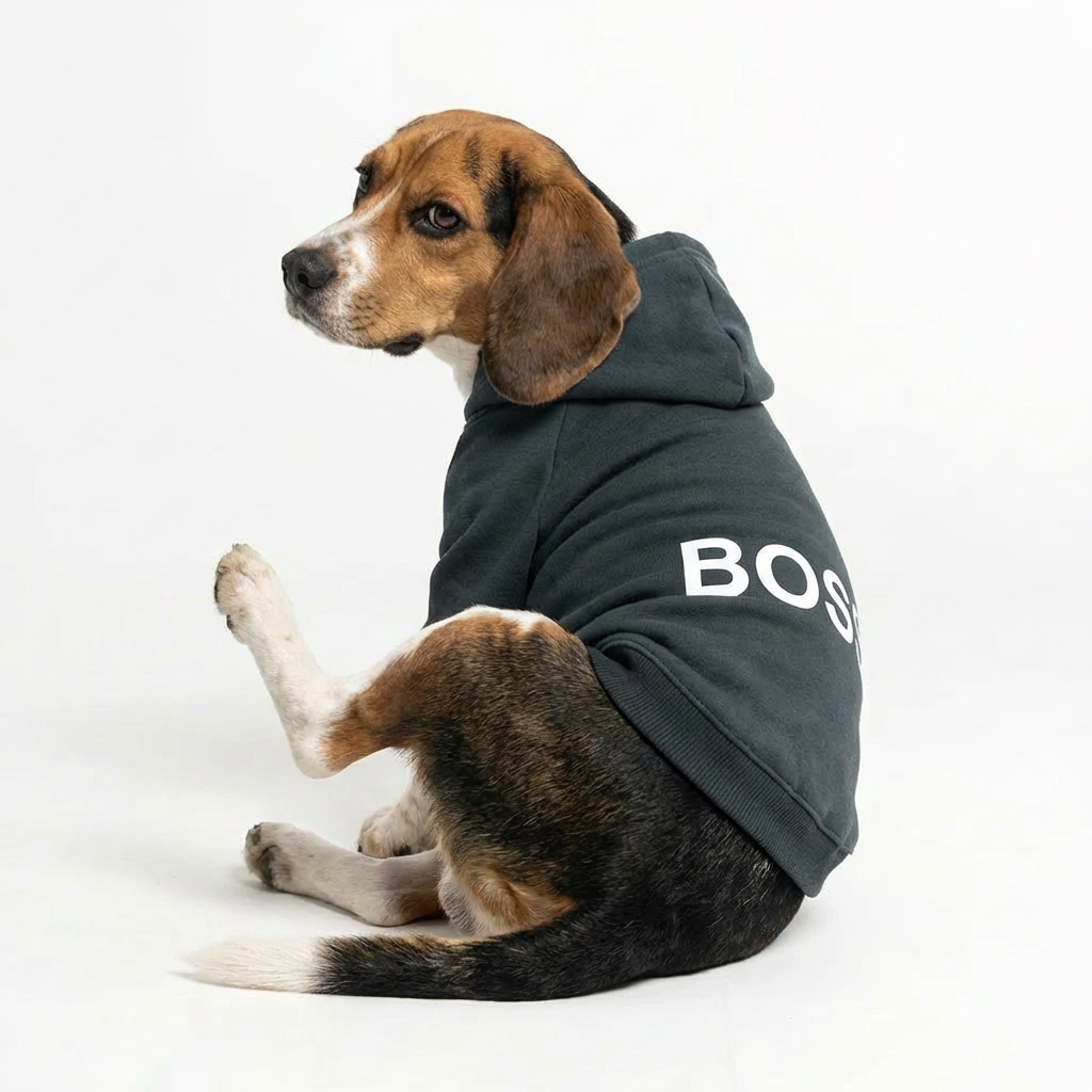 Boss Dog Hoodie - Black