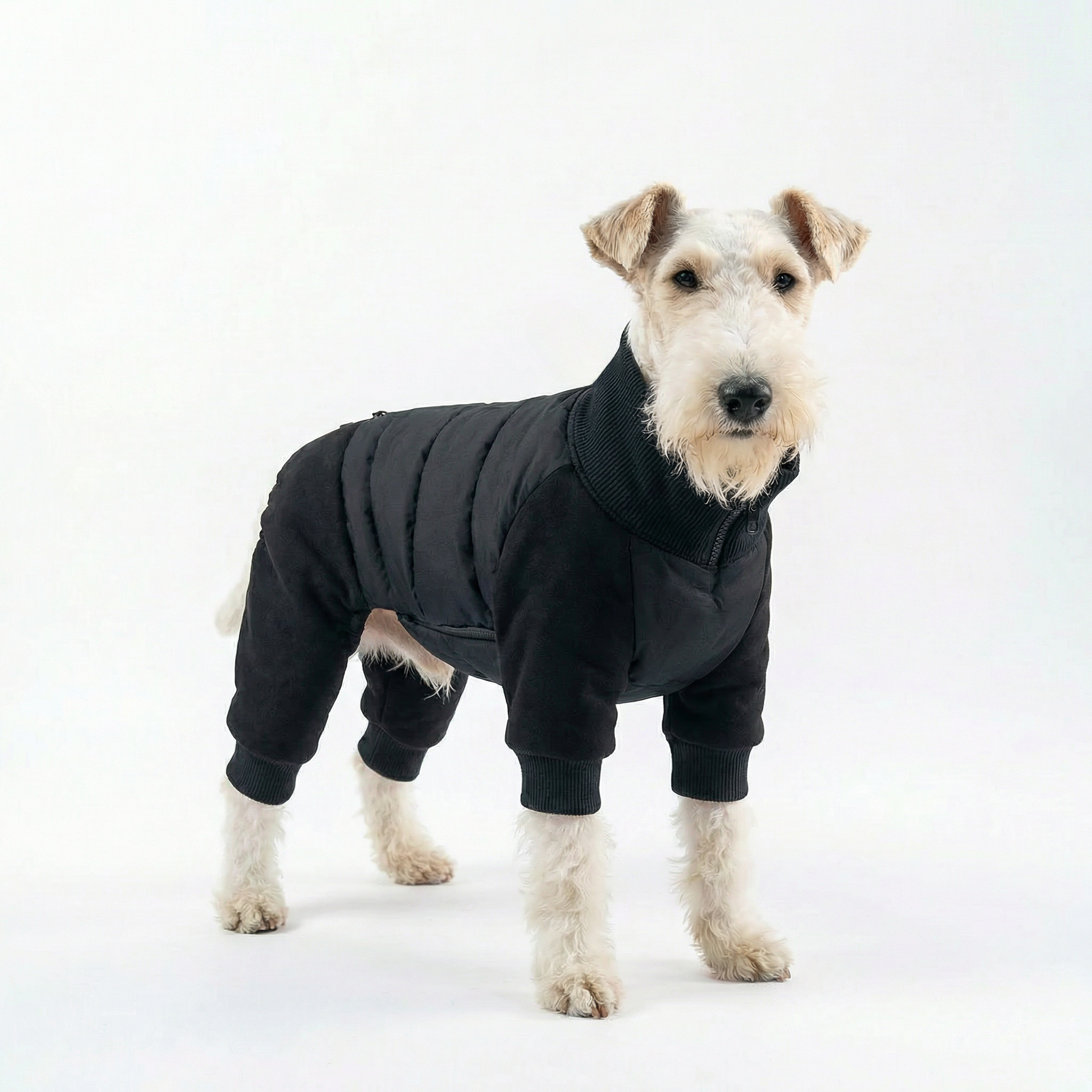 Essential Winter Dog Jacket – Black