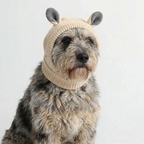 Bear Ear Dog Beanie – Cream