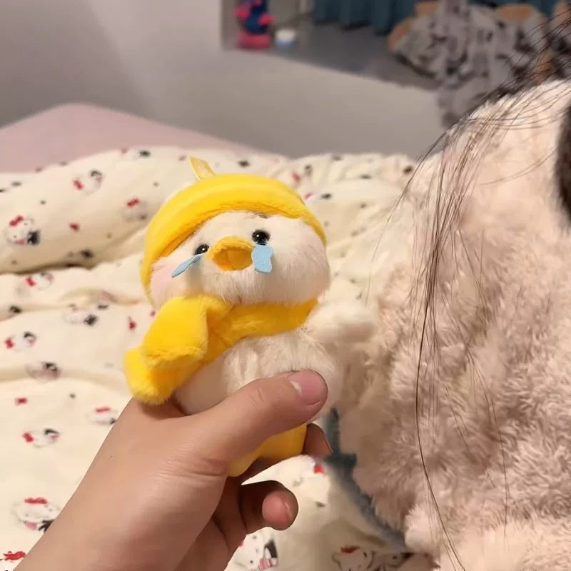 Apology Duck v Penguin