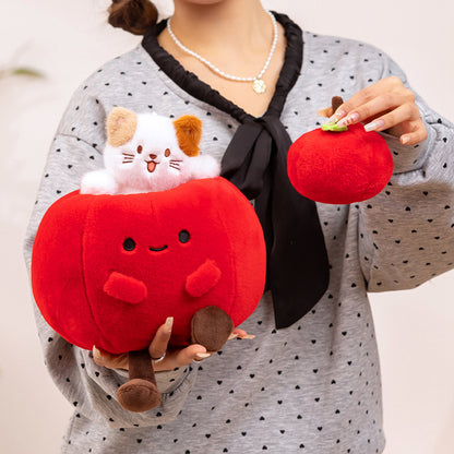 Apple-dwelling Calico Cat