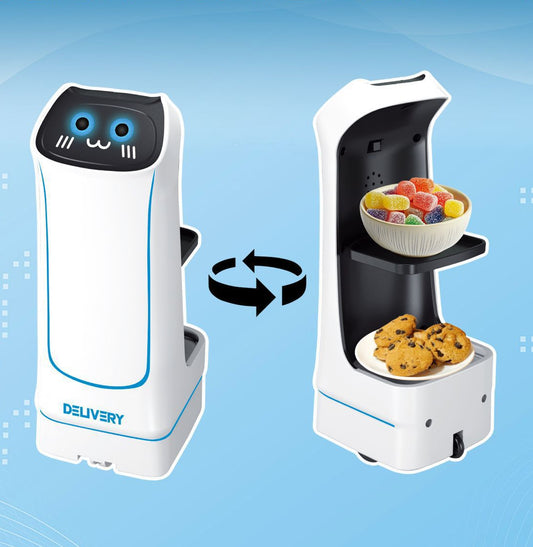Food - delivery Robot