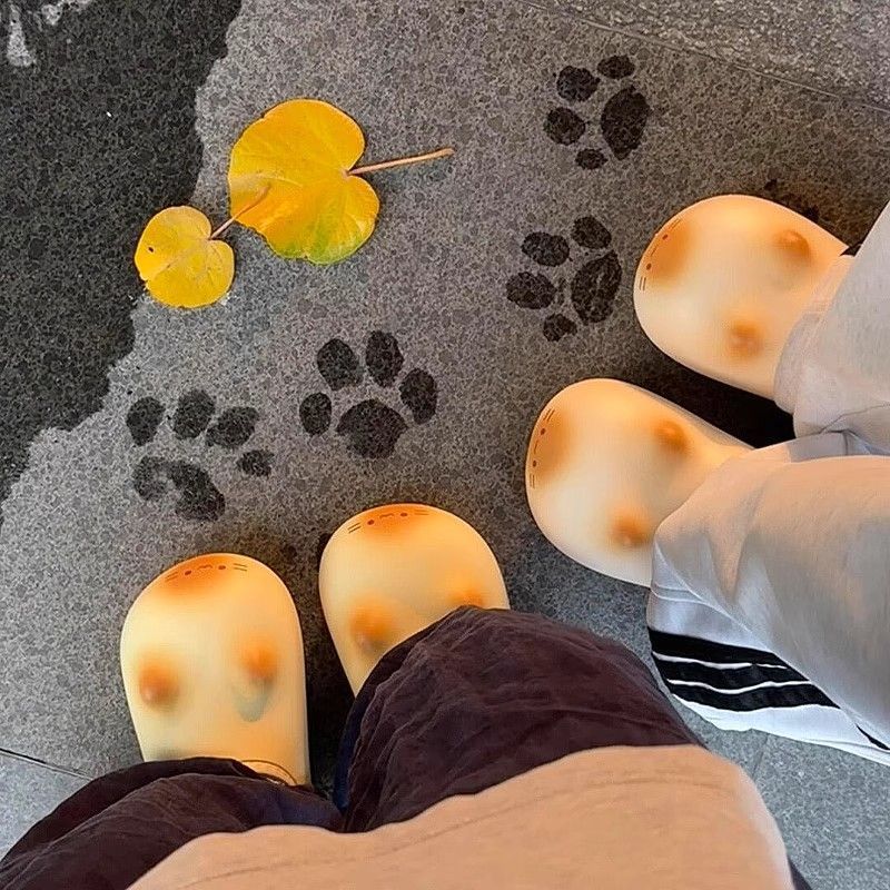 Kitty Paw Slippers