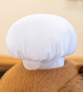 Capybara Chef