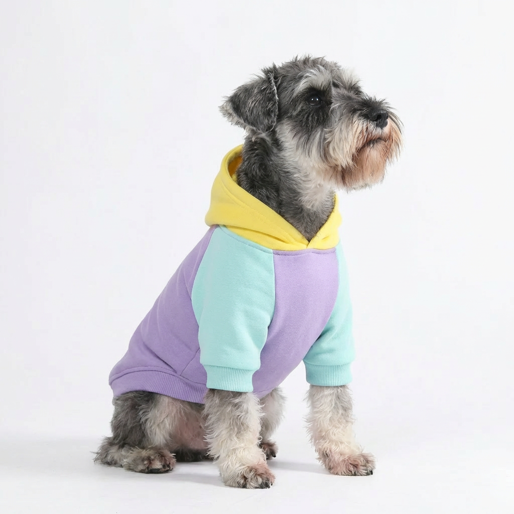 Colorblock Human Hoodie – Lavender Multi