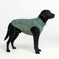 WinterCore Dog Vest – Eucalyptus