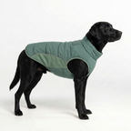 WinterCore Dog Vest – Eucalyptus