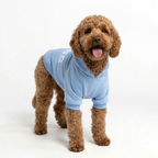 Boss Dog Hoodie – Sky Blue