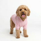 Boss Dog Hoodie – Pink