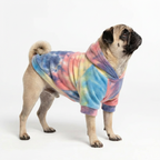 HoloSoft Dog Hoodie - Aurora Mist